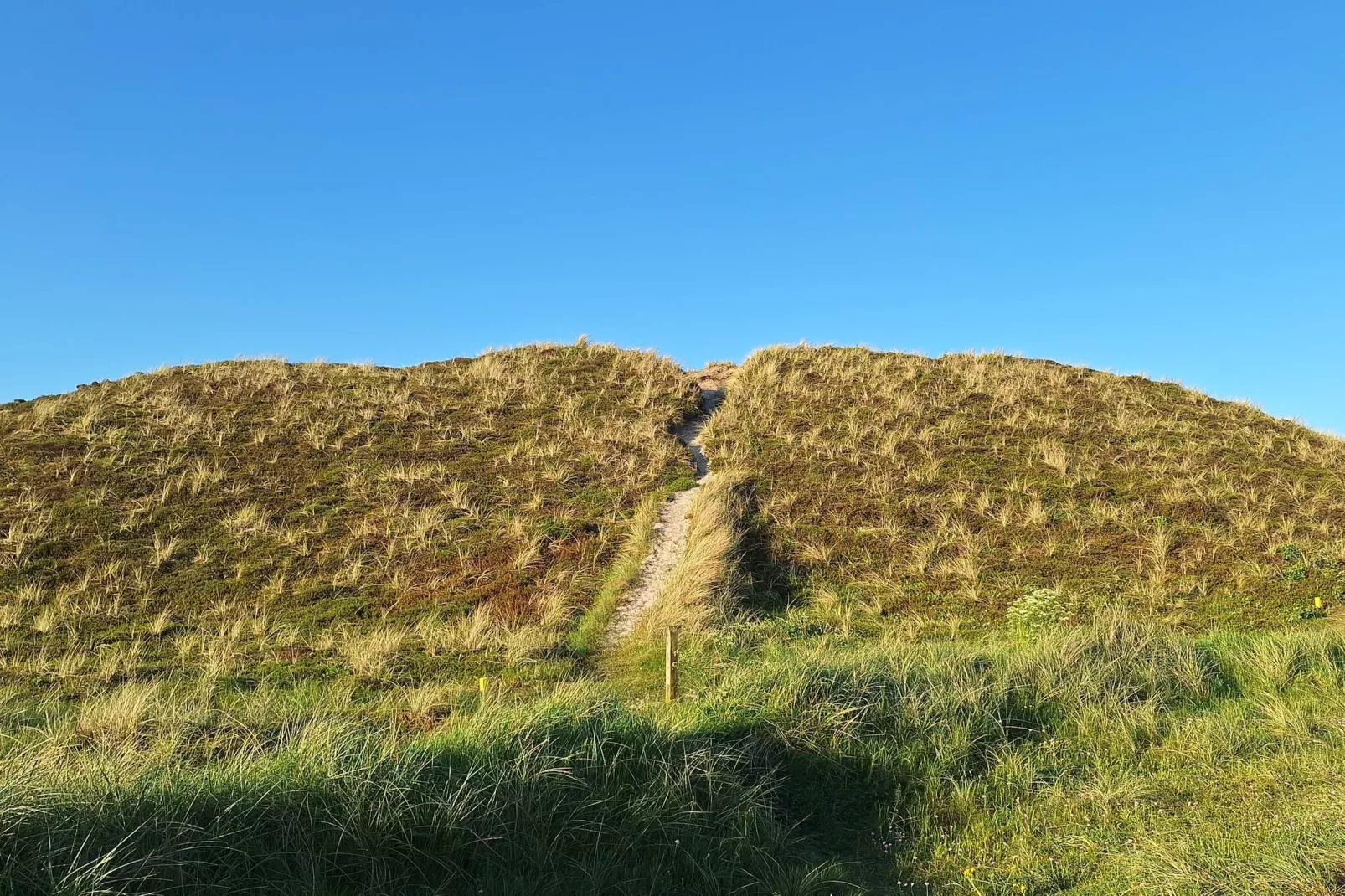 6 person holiday home in Hvide Sande-Untagged