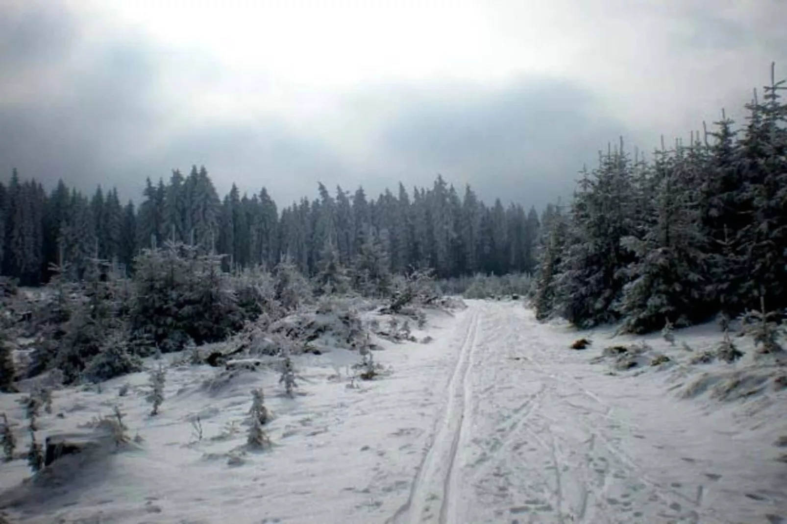 Haus Altmelon-Area winter 5km