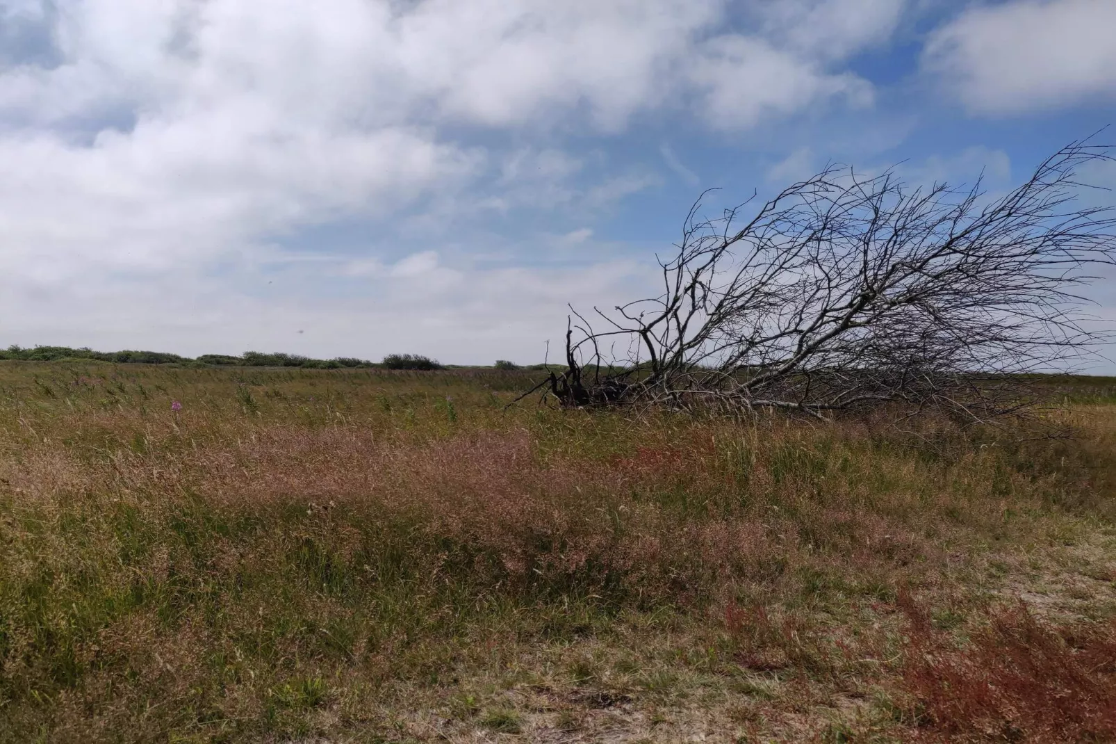 6 person holiday home in Hvide Sande-Untagged