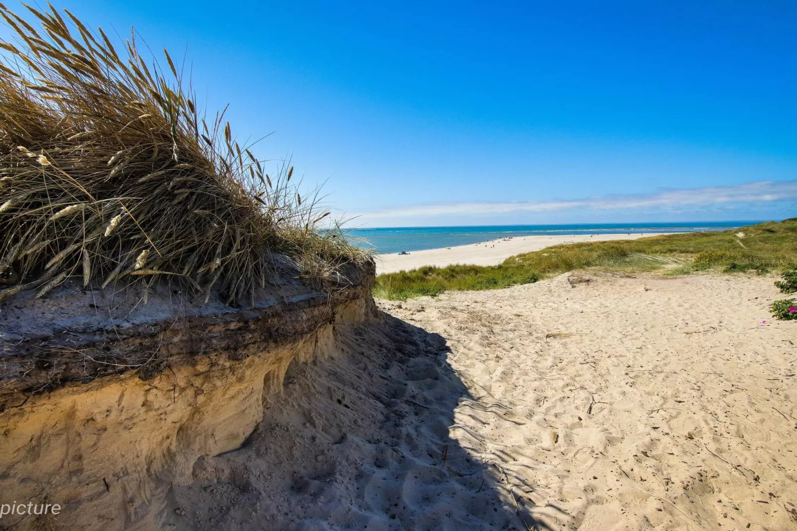 Maison de vacances pour 4 a Blåvand-Non tagué