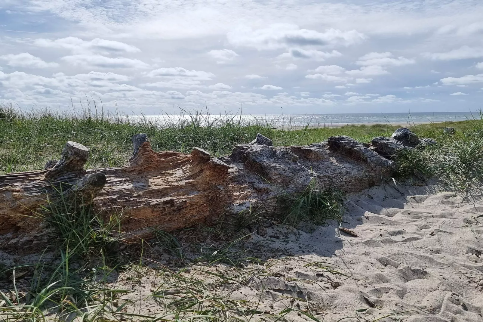 Retraite plage confortable -- By Traum Ferienwohnungen