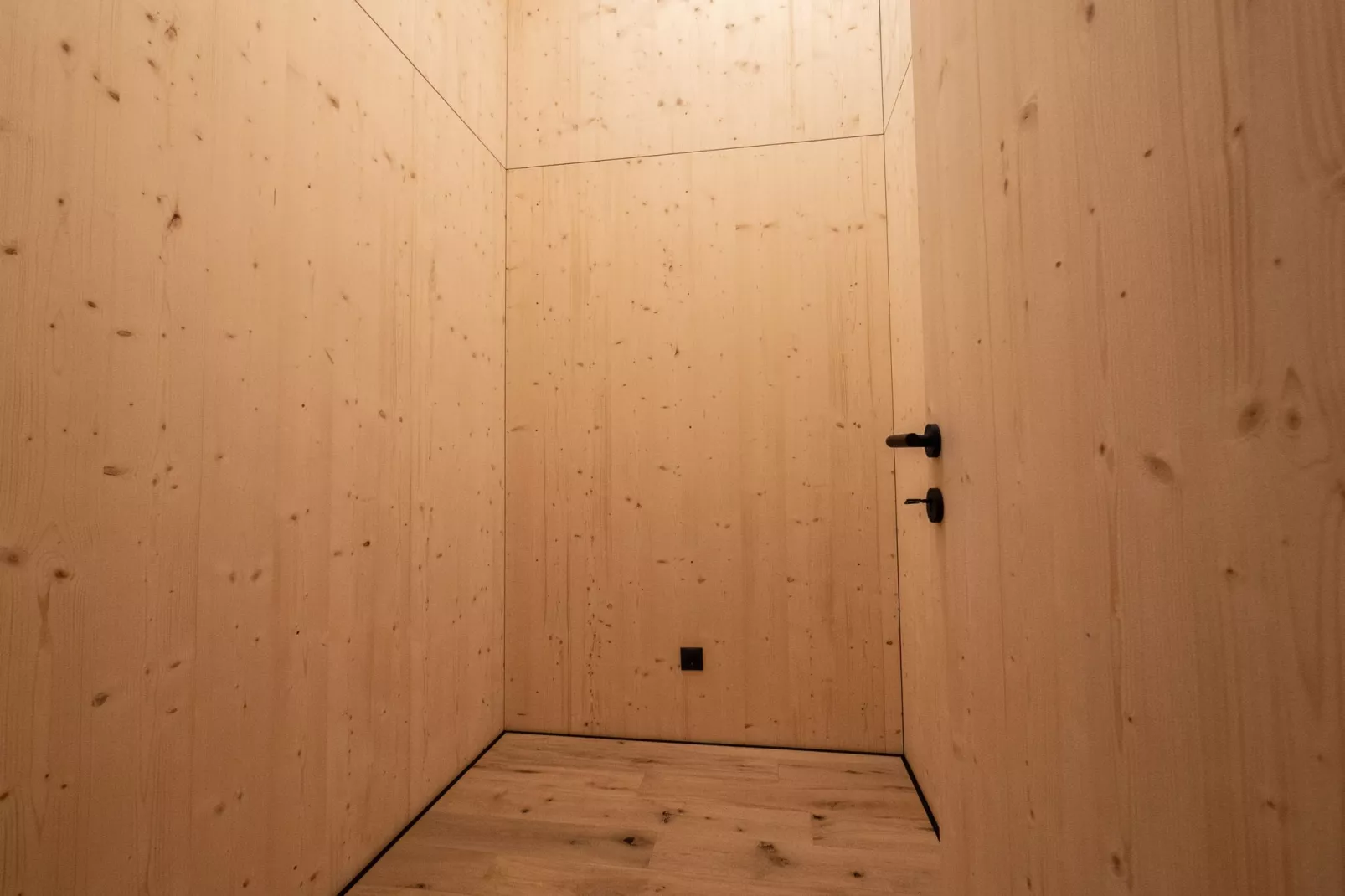 Penthouse in Mieders-Landing