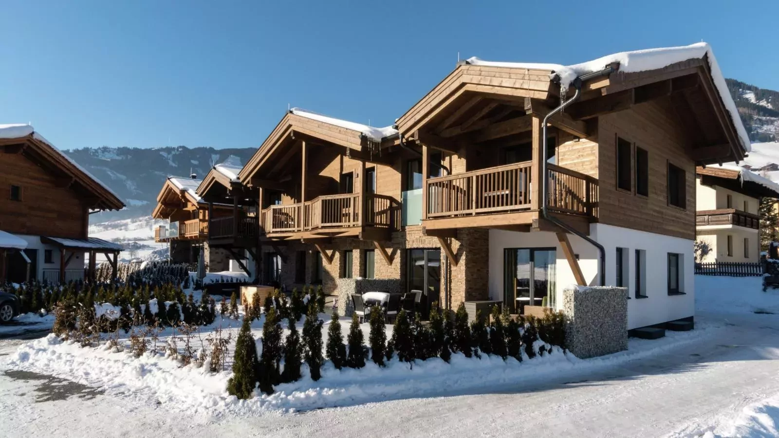 BergbiberLODGE L-Exterior winter
