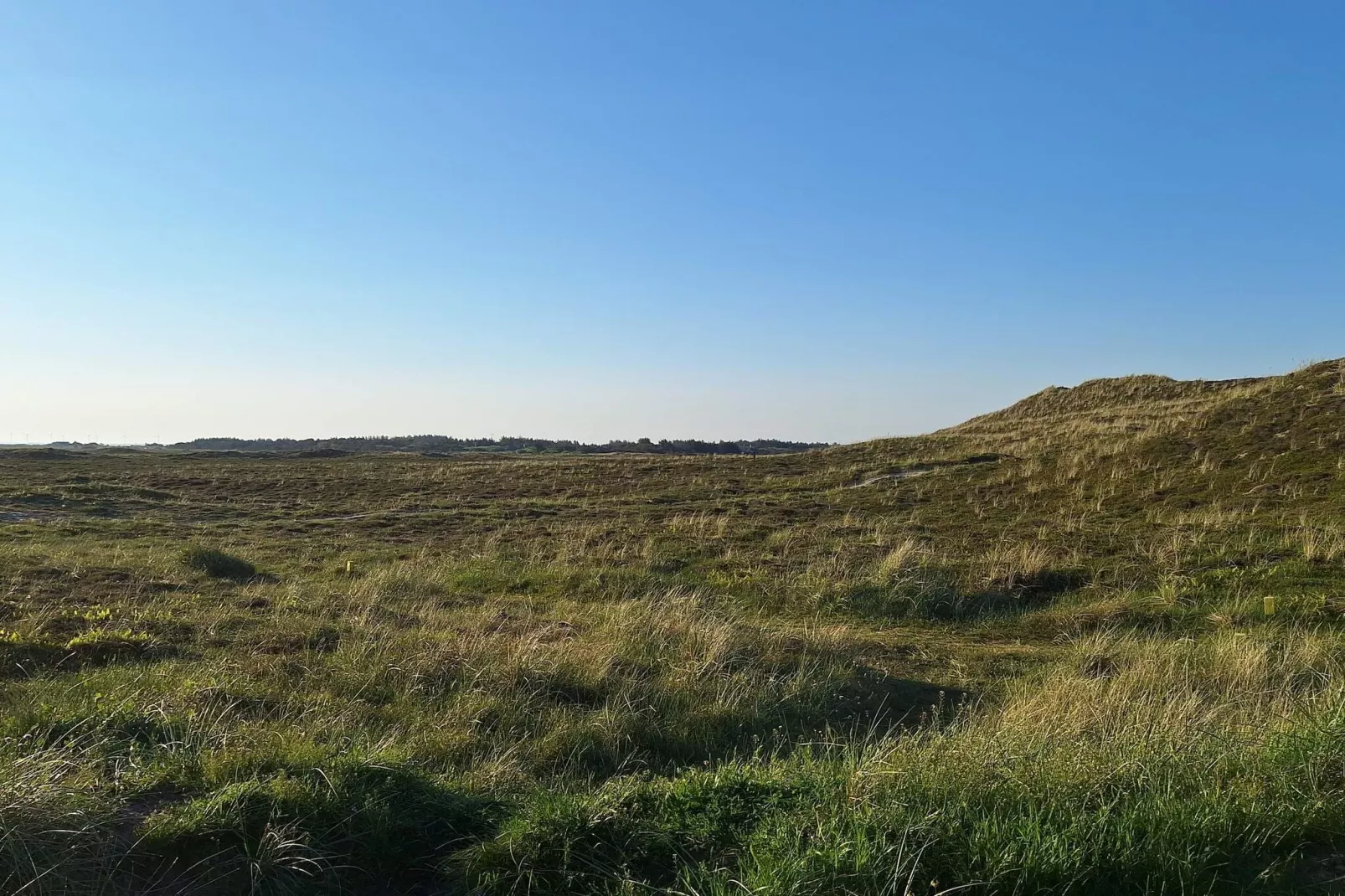 6 person holiday home in Hvide Sande-Untagged