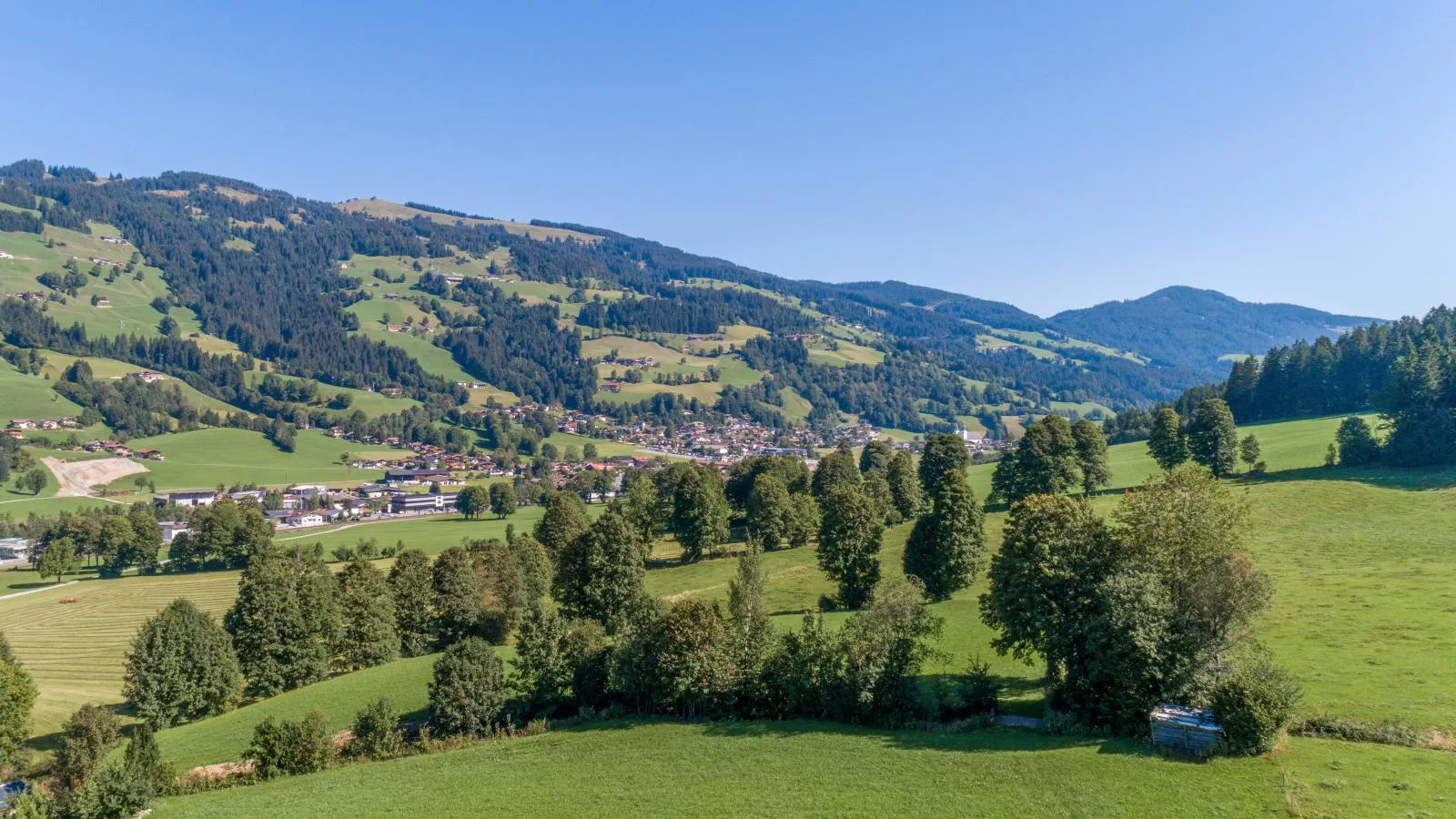 Ferienwohnung Krimbacher-Areas summer 20km