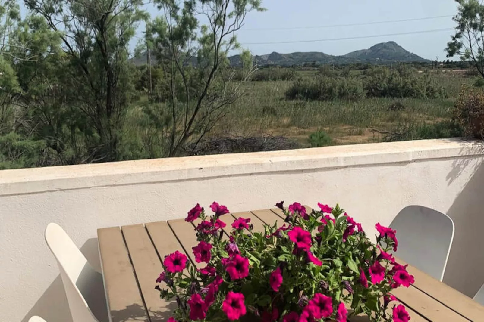 Appartements à Pollença - Port de Pollença-Nicht zugeordnet