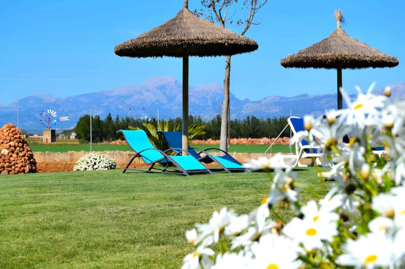 Maison à Muro-Untagged