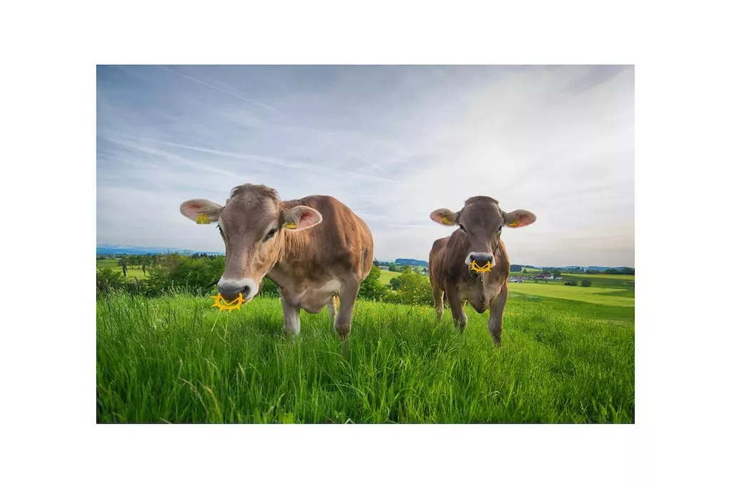 75997-Nicht zugeordnet