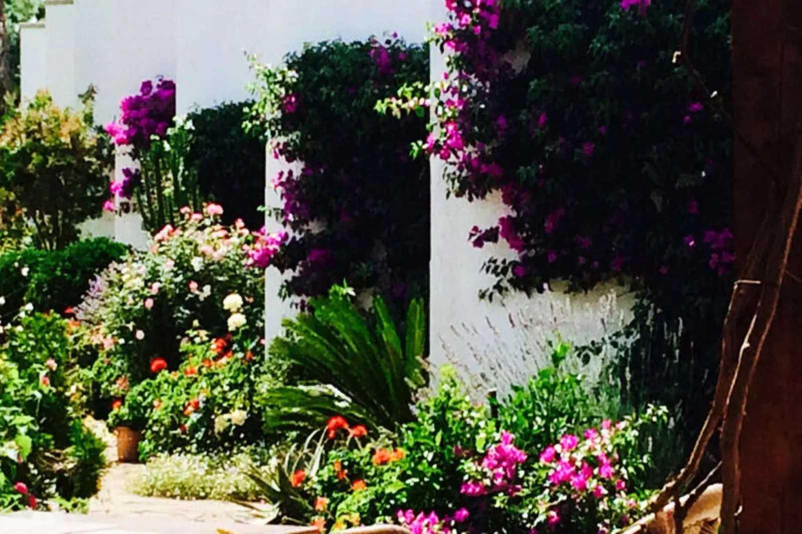 Appartements à Pollença - Port de Pollença-Nicht zugeordnet