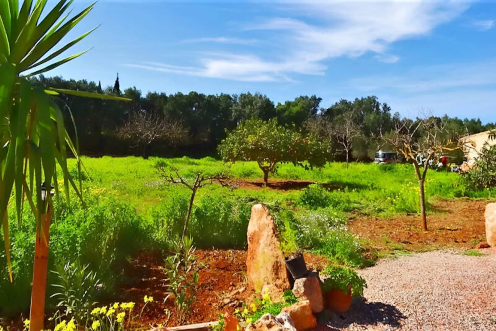 Maison à Llucmajor-Untagged