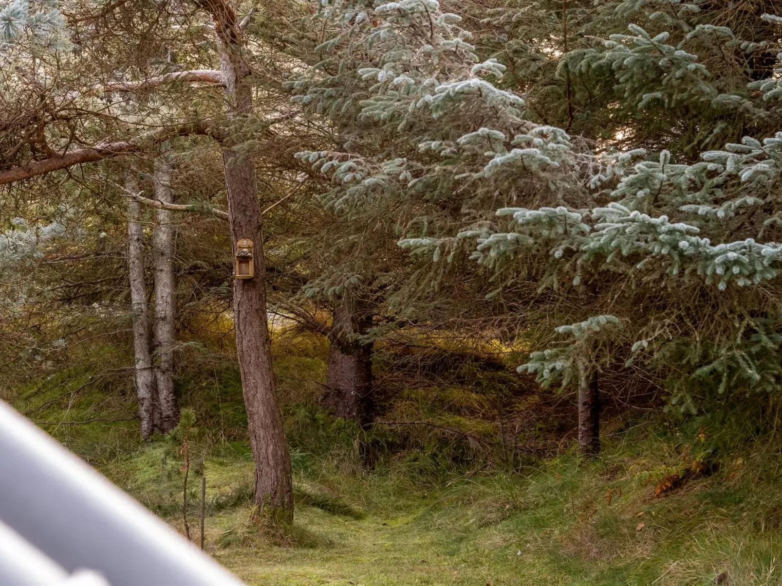 "Ejla" - 600m from the sea-Outside