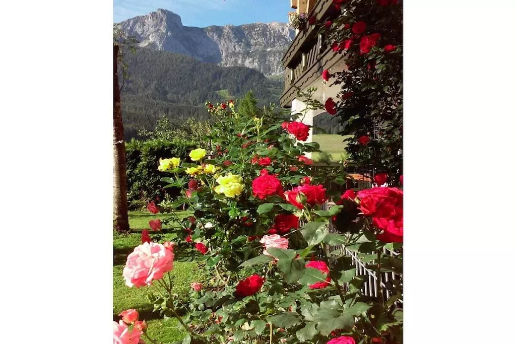 290551-Nicht zugeordnet