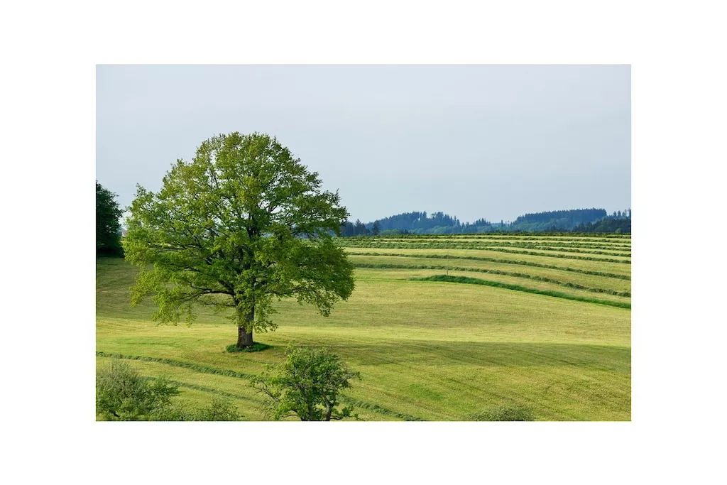 75997-Nicht zugeordnet