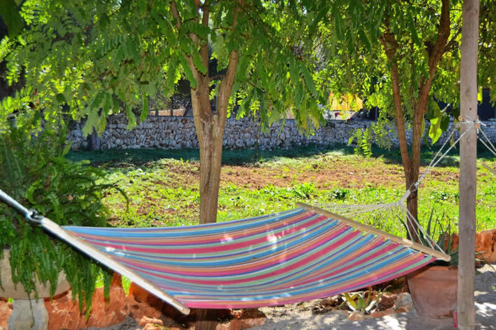 Maison à Muro-Non tagué