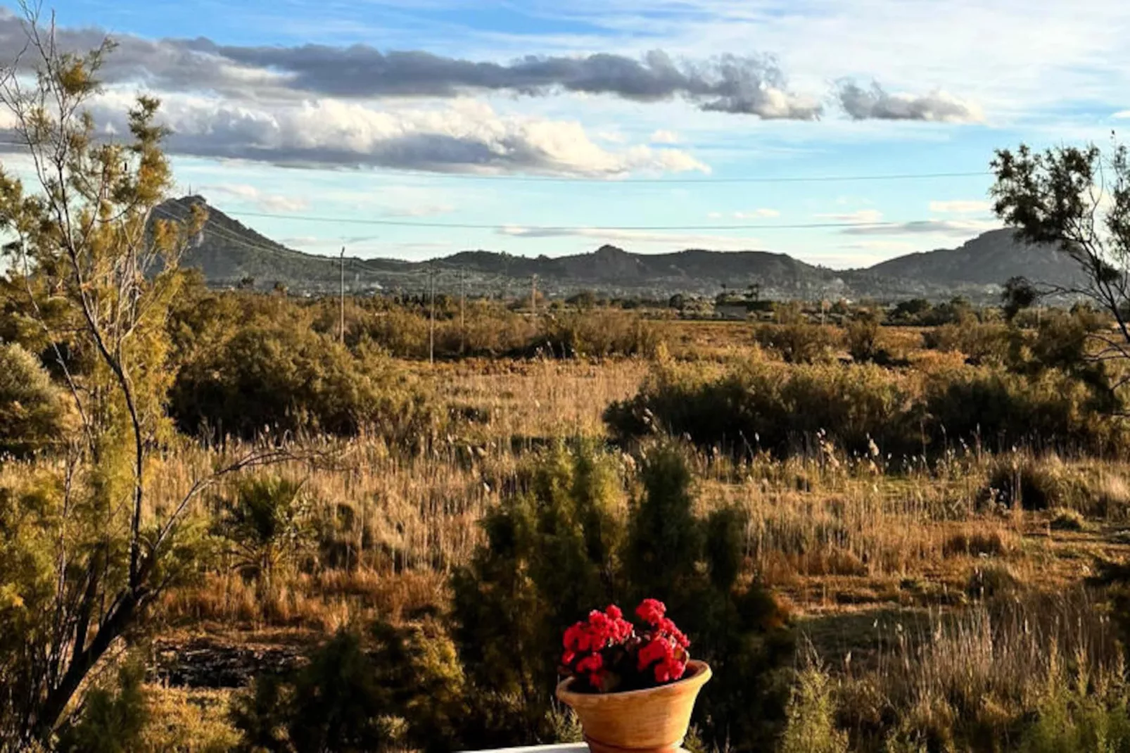 Appartements à Pollença - Port de Pollença-Nicht zugeordnet