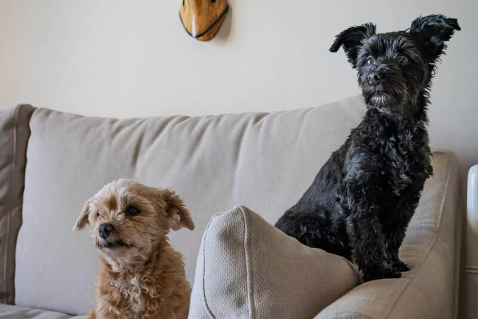 Appartements à Manilva-Non tagué