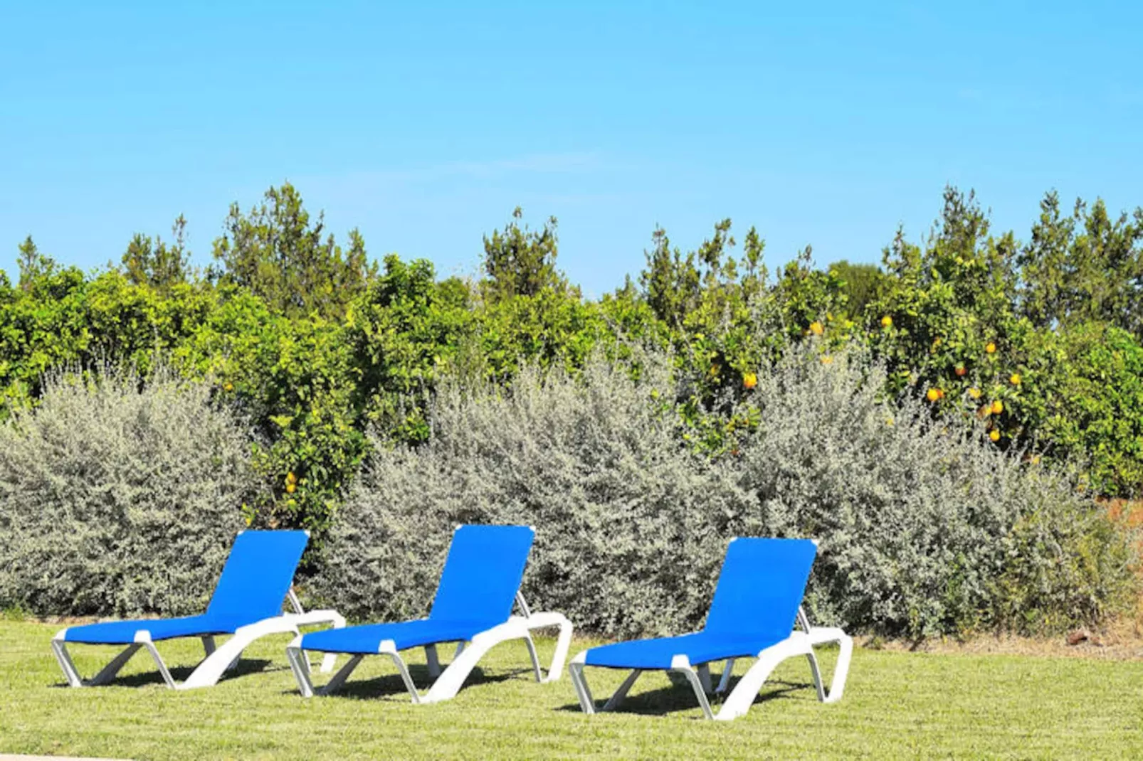 Maison à Muro-Non tagué