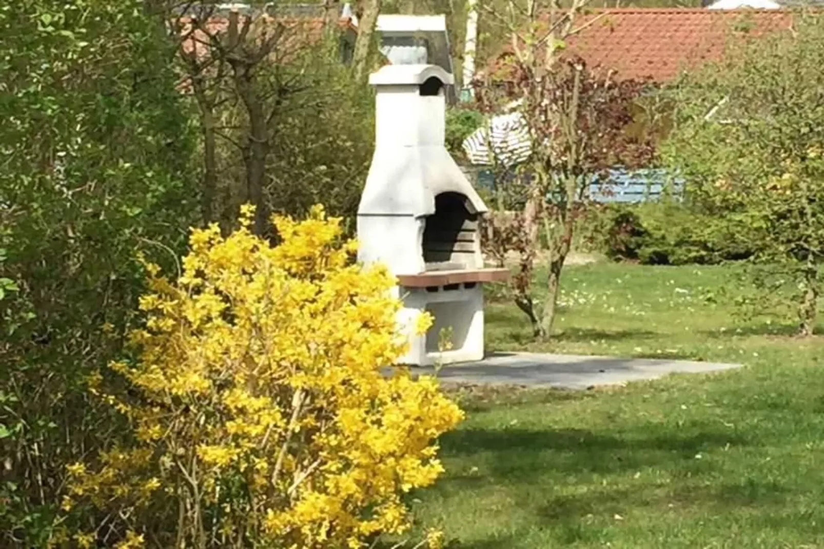 FH Seeschwalbe 11-Garten Sommer