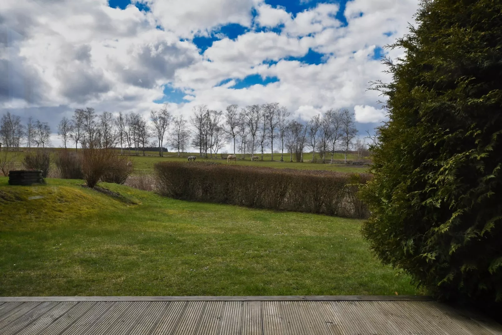 Ferienhaus in Hasselfelde - Haus 602 Auerhahn-Terrace balcony