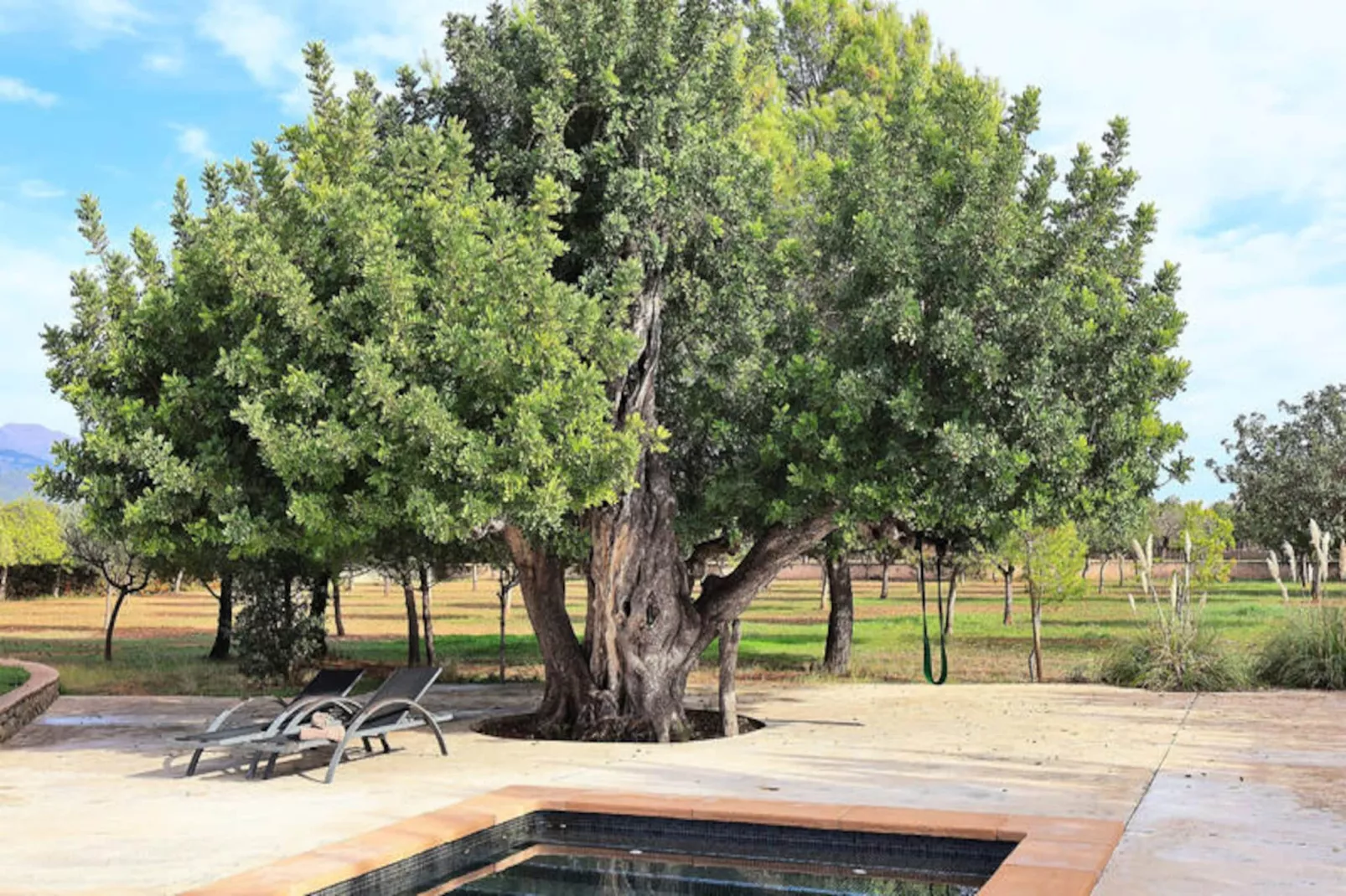 Maison à Binissalem-Non tagué