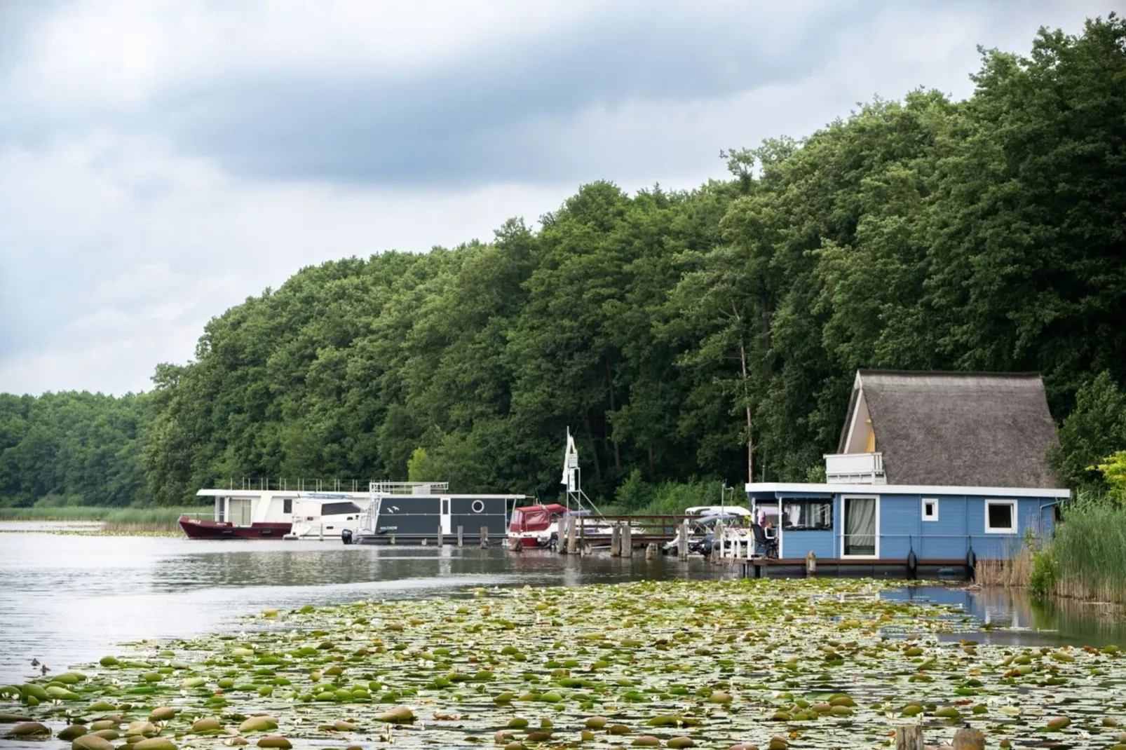 Strandläufer Classic 104-Gebiete Sommer 1 km