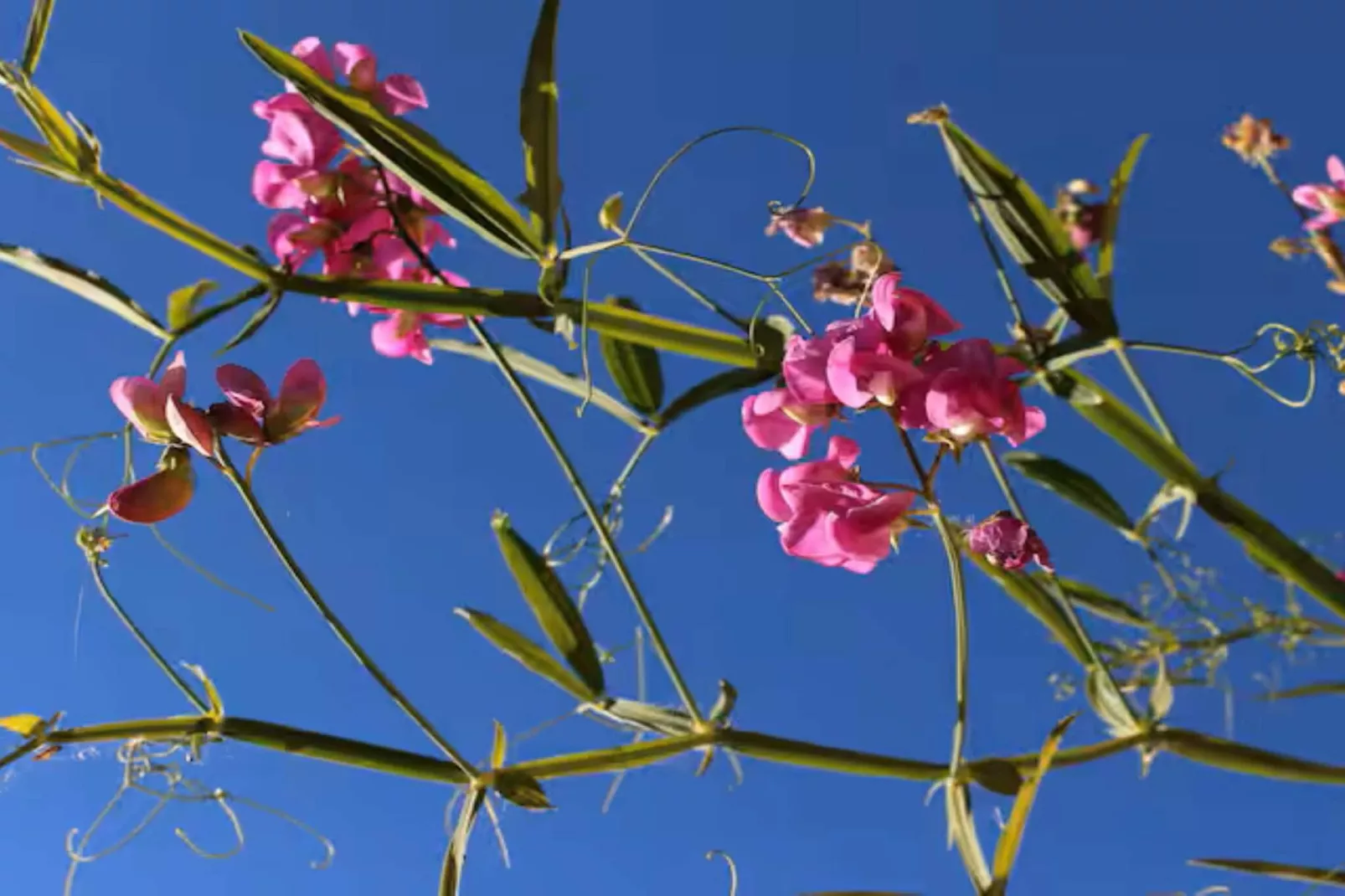 Maison de vacances pour 4 a LUR-Extérieur