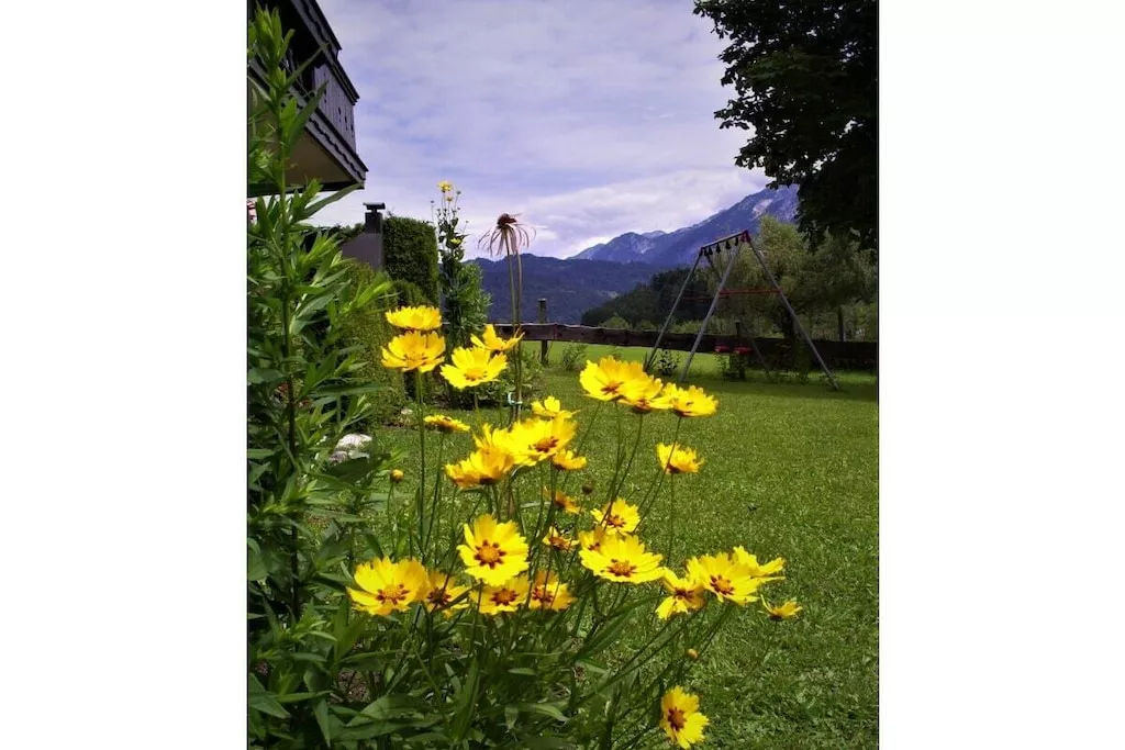 290551-Nicht zugeordnet