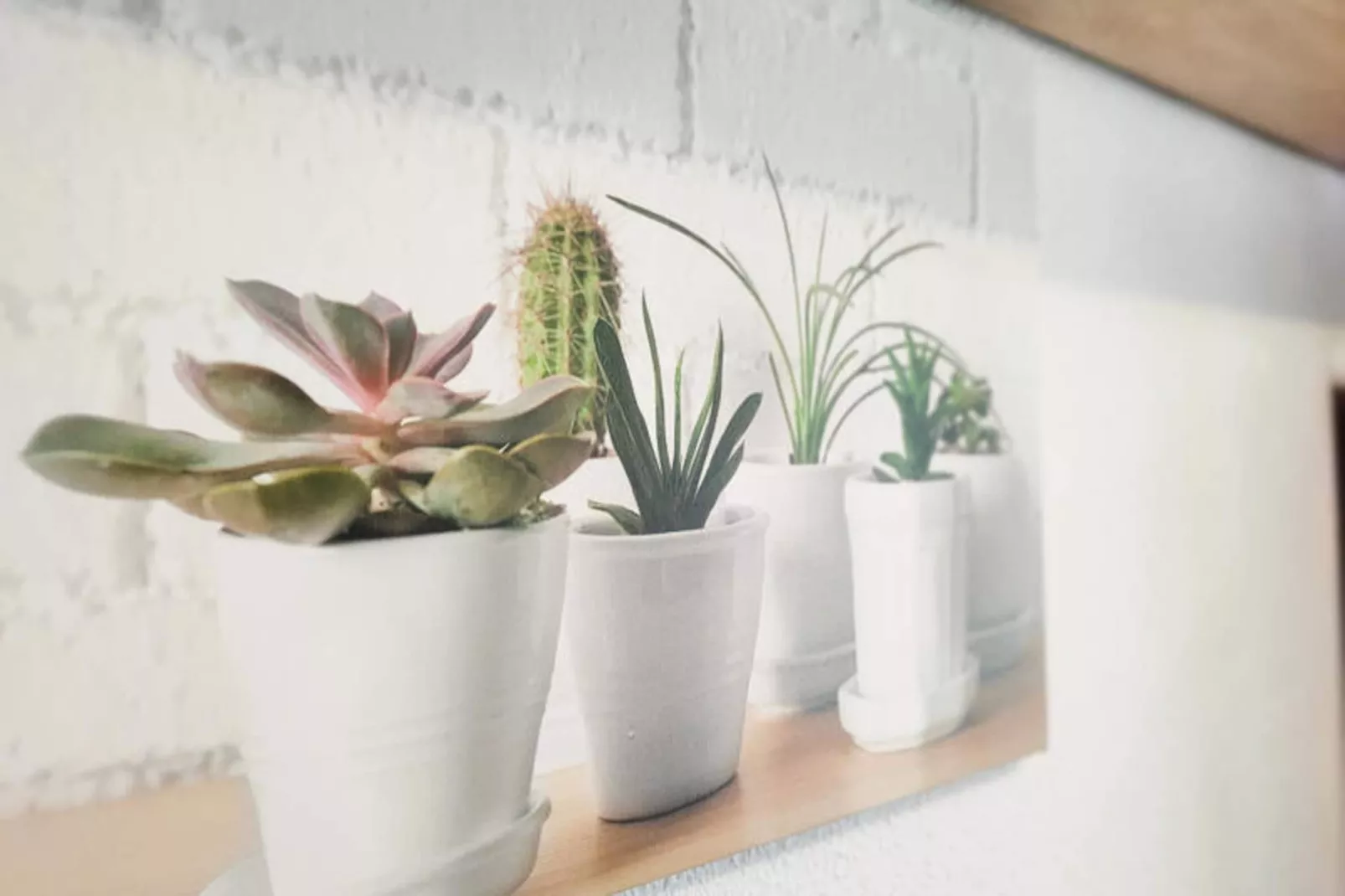 Appartements à Canet d'En Berenguer-Nicht zugeordnet