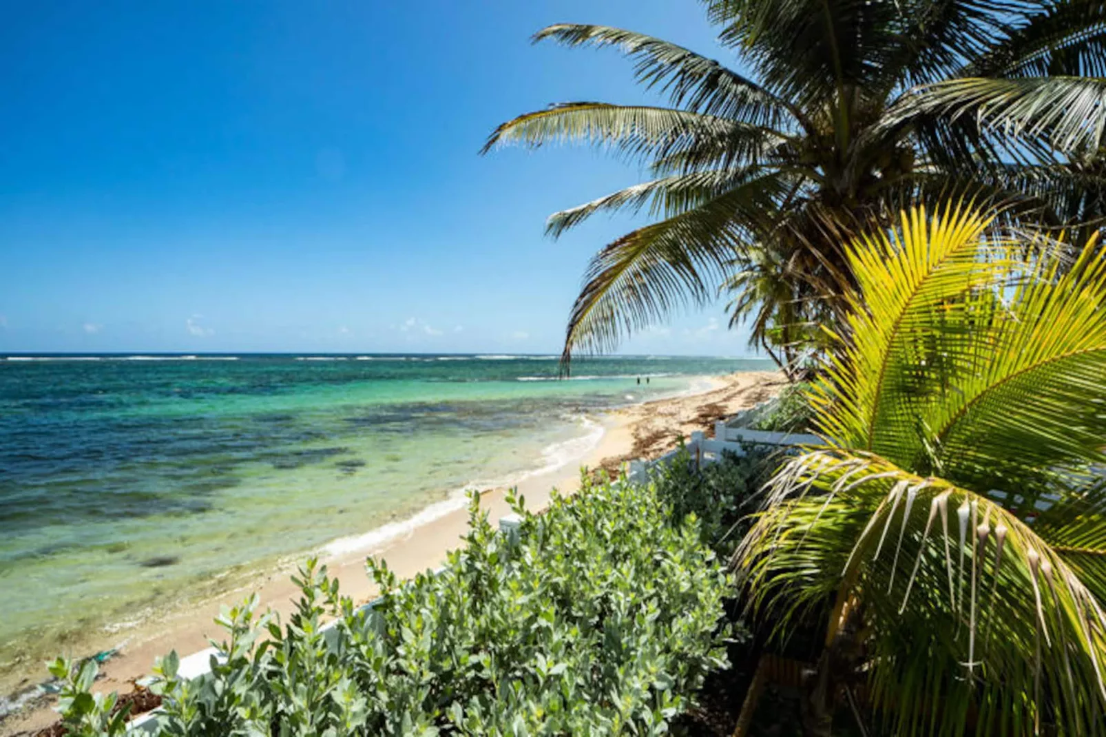 Maison à Le Moule - Untagged