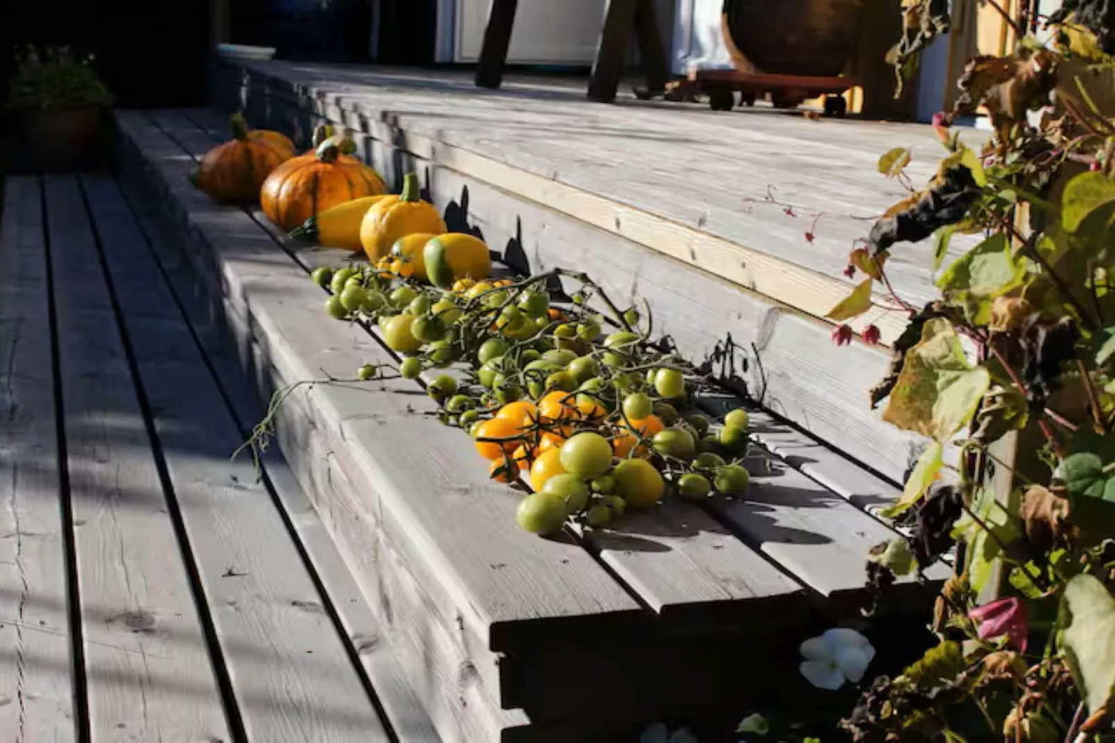 Maison de vacances pour 4 a LUR-Extérieur