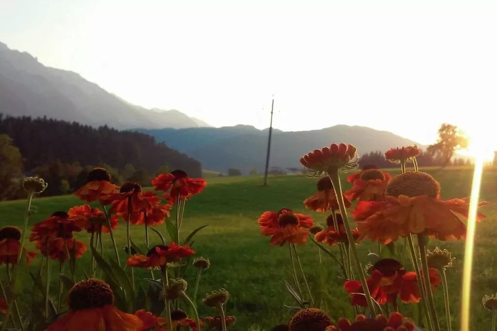 290551-Nicht zugeordnet