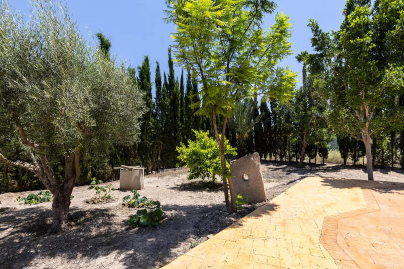 Maison à Catral-Untagged