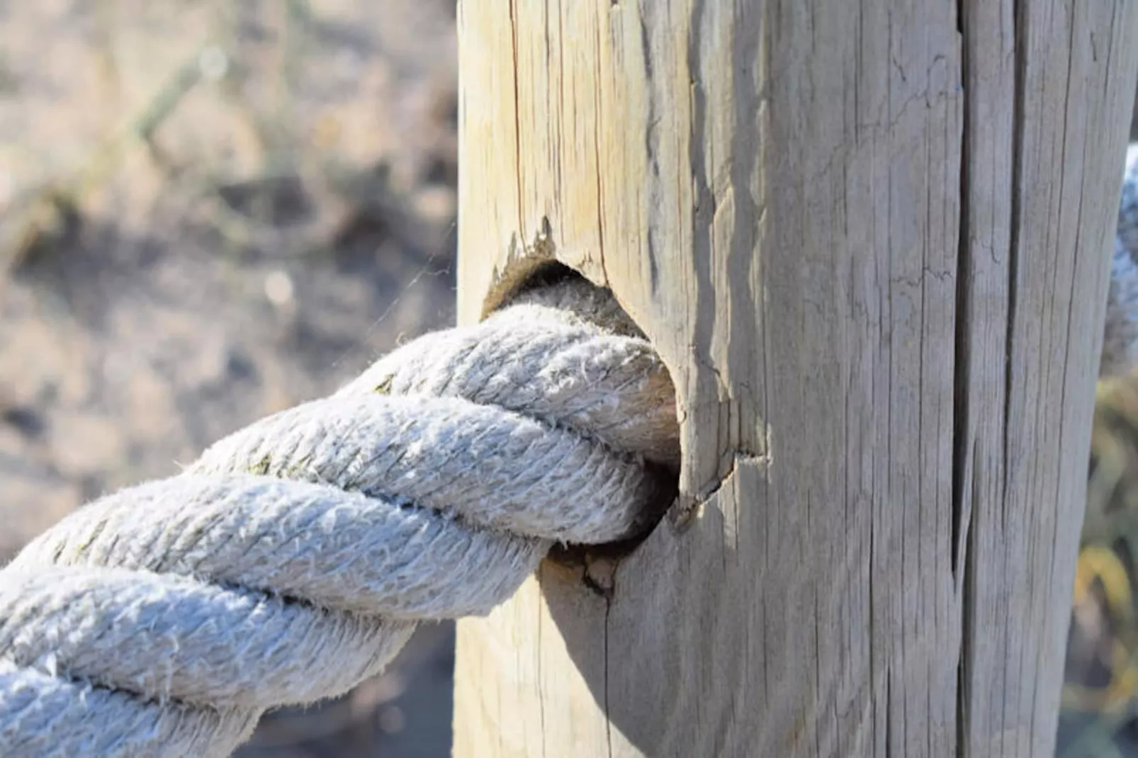 Appartements à Can Picafort-Untagged