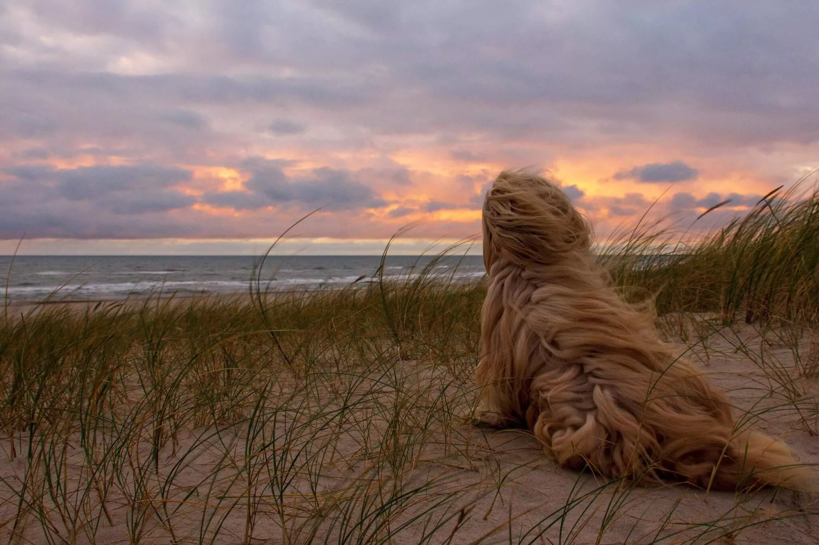6 person holiday home in Hvide Sande-Water view
