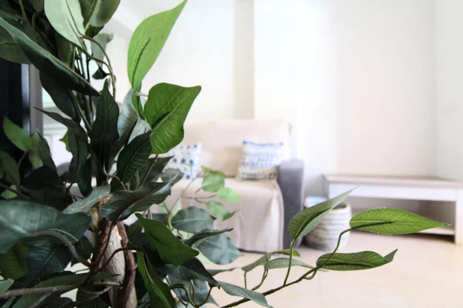 Appartements à Canet d'En Berenguer-Untagged