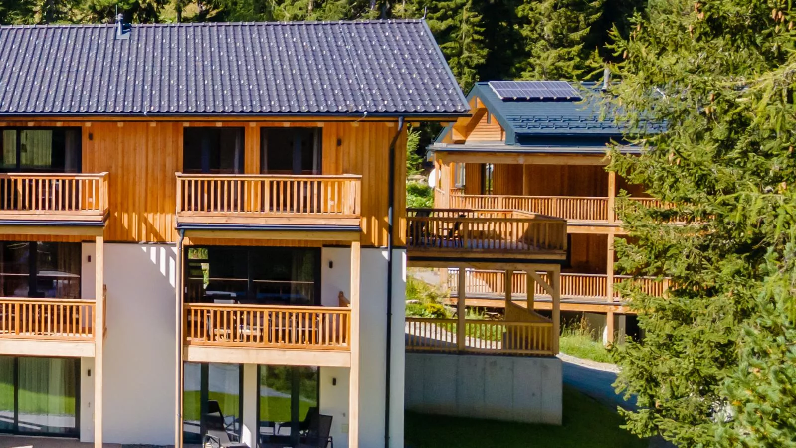 Alpinchique 3 Mountain Chalet-Exterior summer
