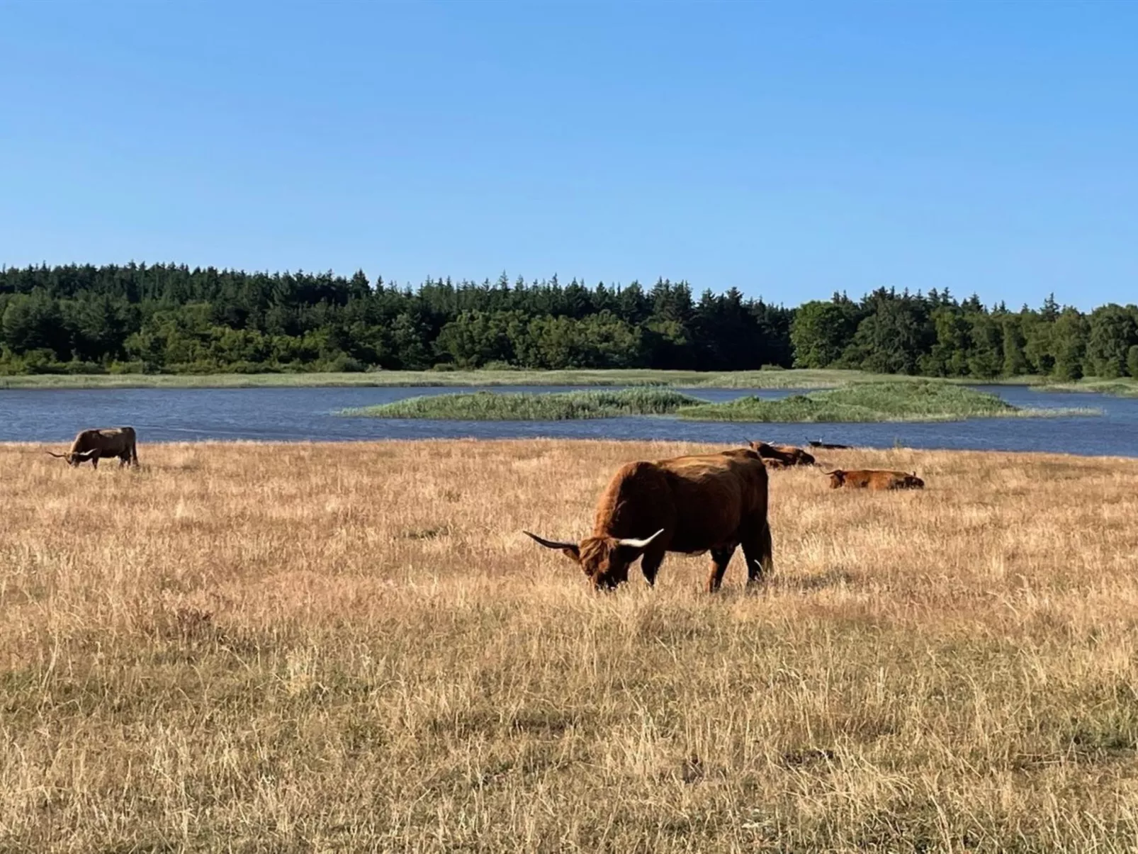 "Iwa" - 15m from the sea-Outside