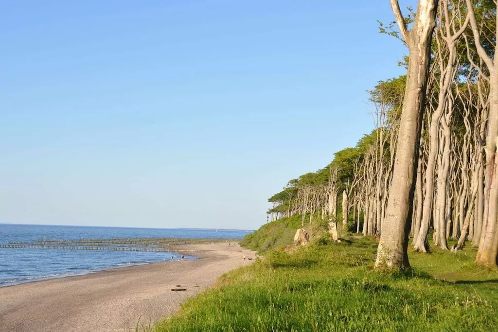 126950-Nicht zugeordnet