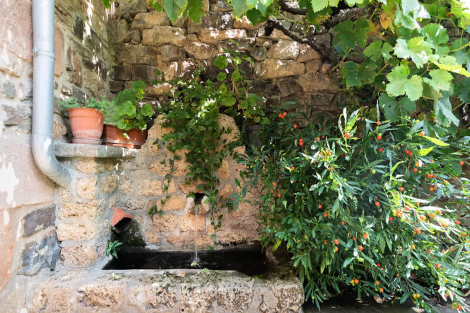 Maison à Cabezon de Liebana Cantabria-Untagged
