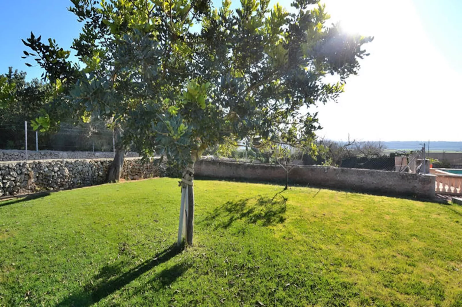 Maison à Ariany-Untagged