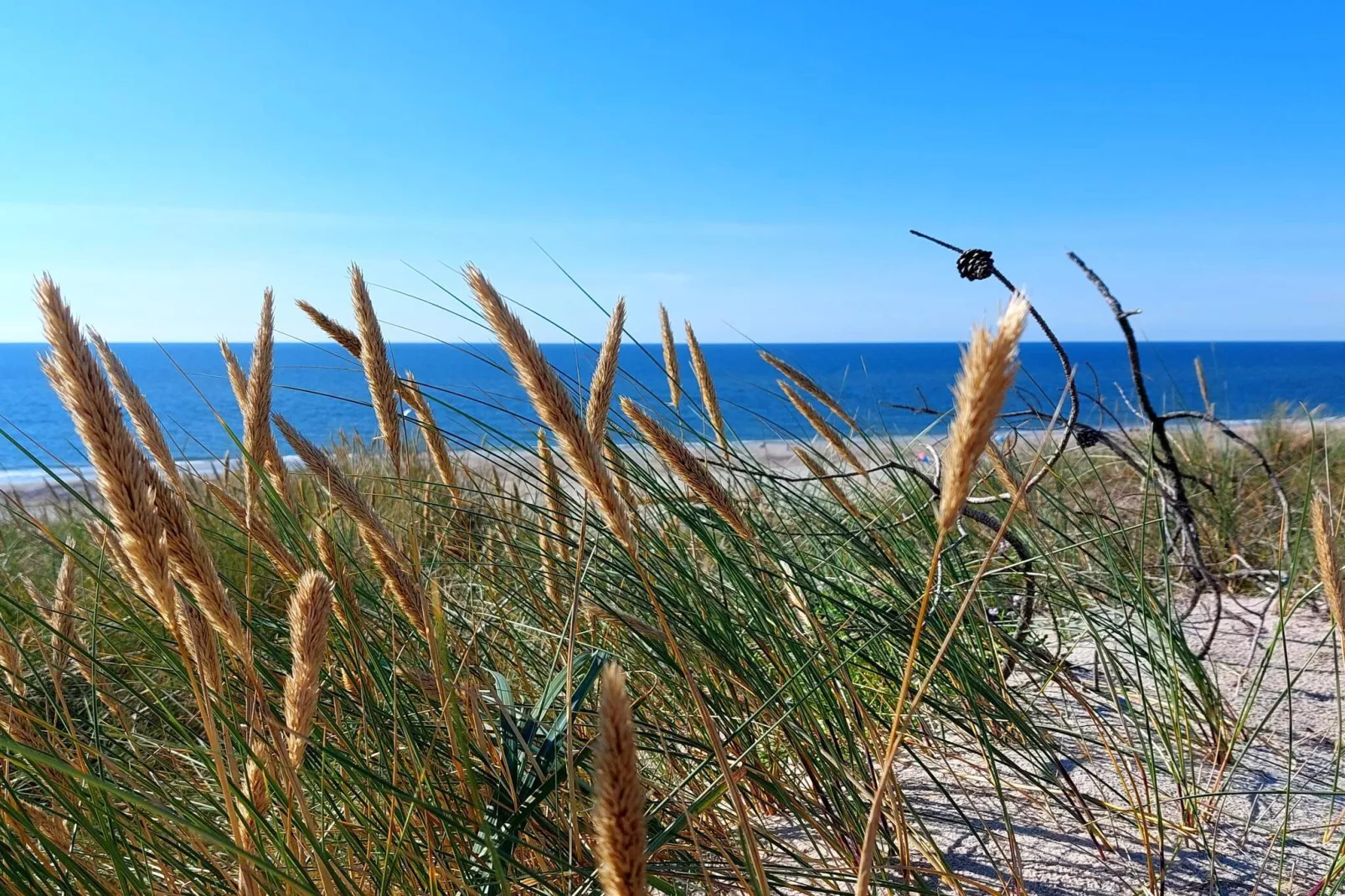 6 person holiday home in Hvide Sande-Water view