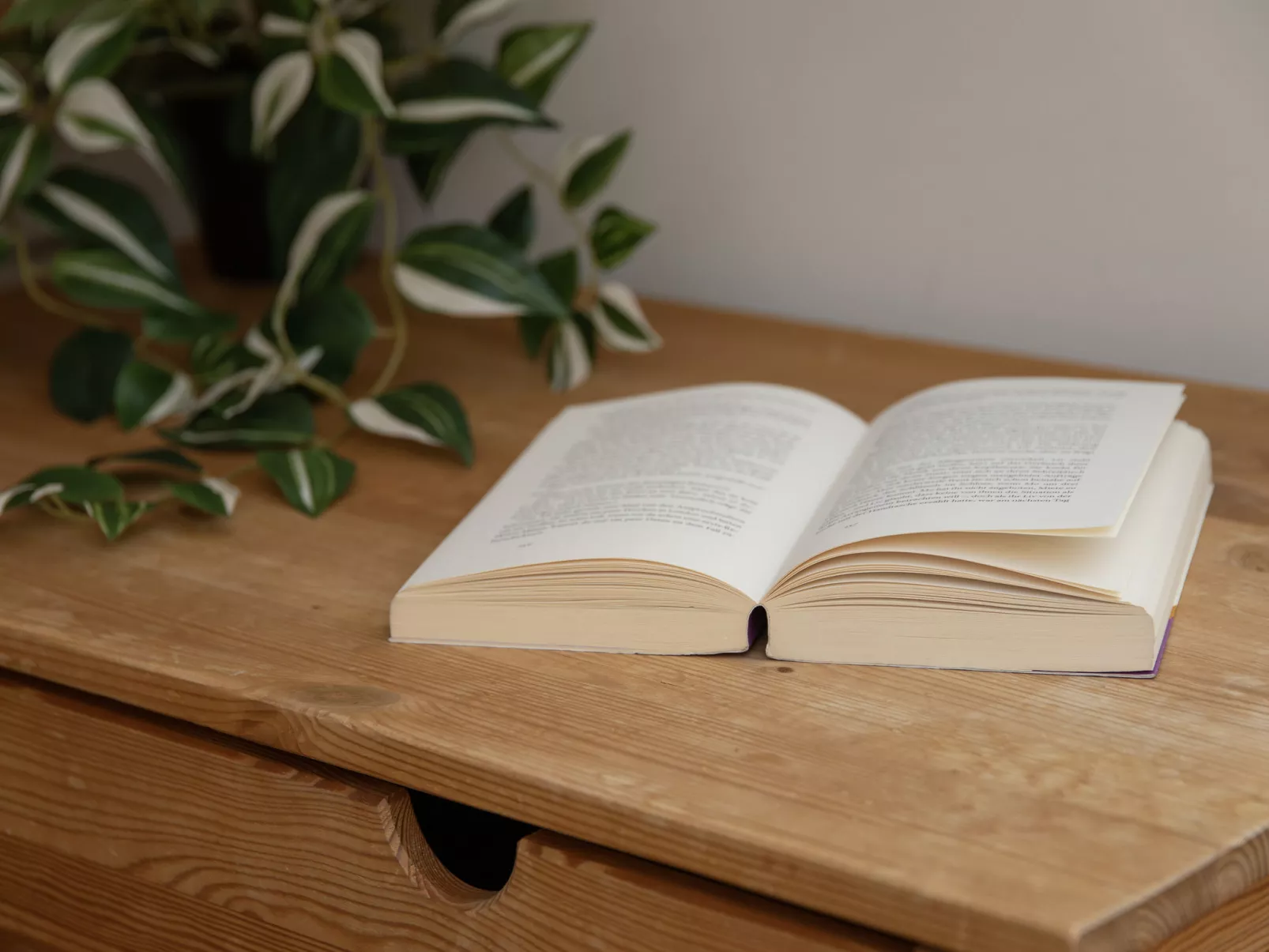 Schweizerheim Apt.5-Inside