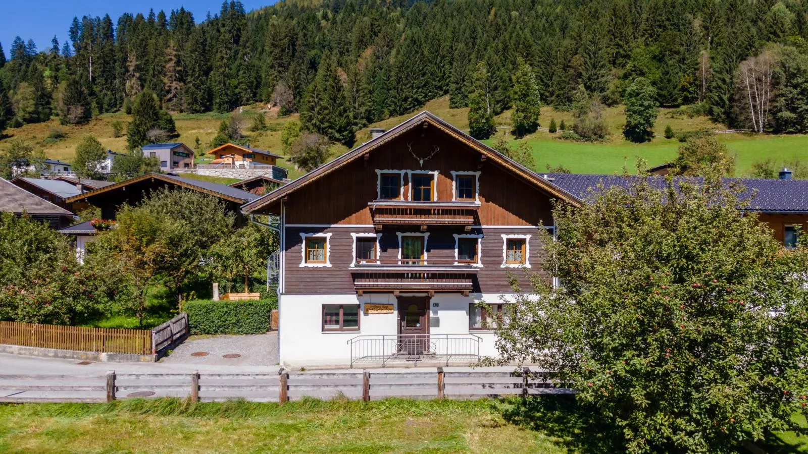 Kitzbüheler Alpen XL-Exterior summer