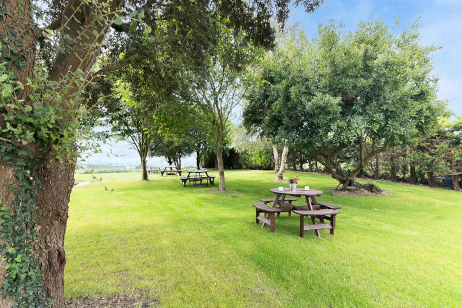 Appartements à Miengo-Untagged