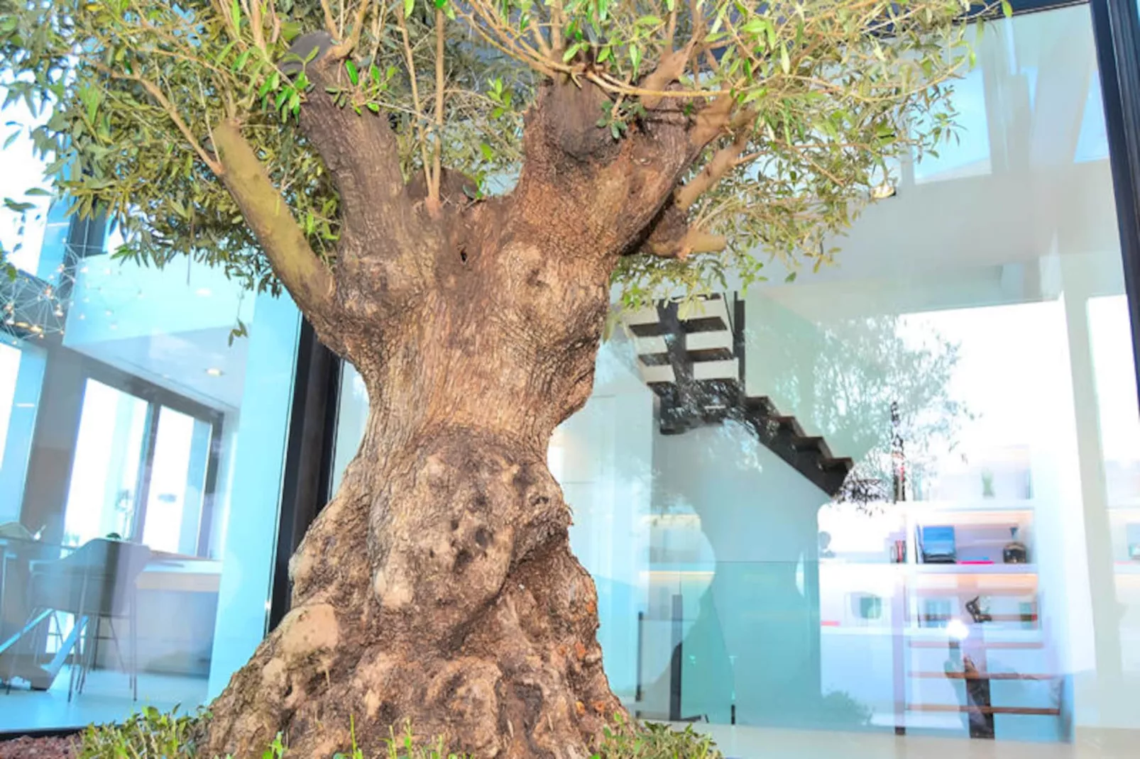 Maison à Búger-Untagged