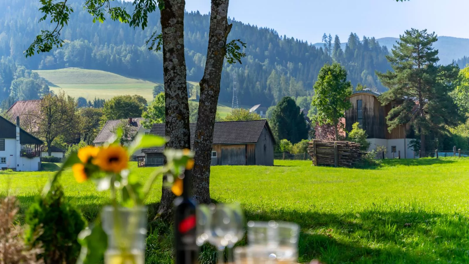 Kreischberg The Exclusive Haus 5 Top 14-Ambiente