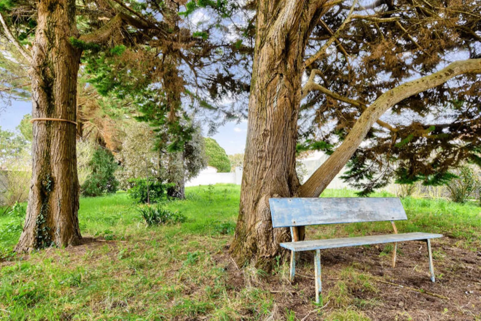 Maison à La guerinière - Ile de Noirmoutier-Non tagué