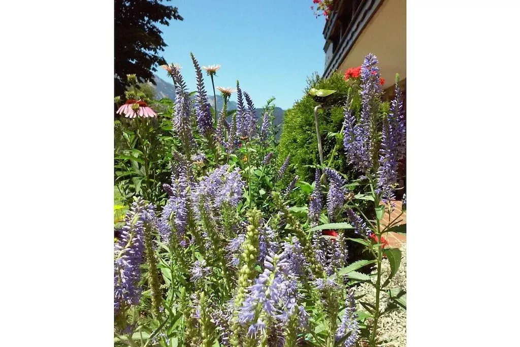 290551-Nicht zugeordnet