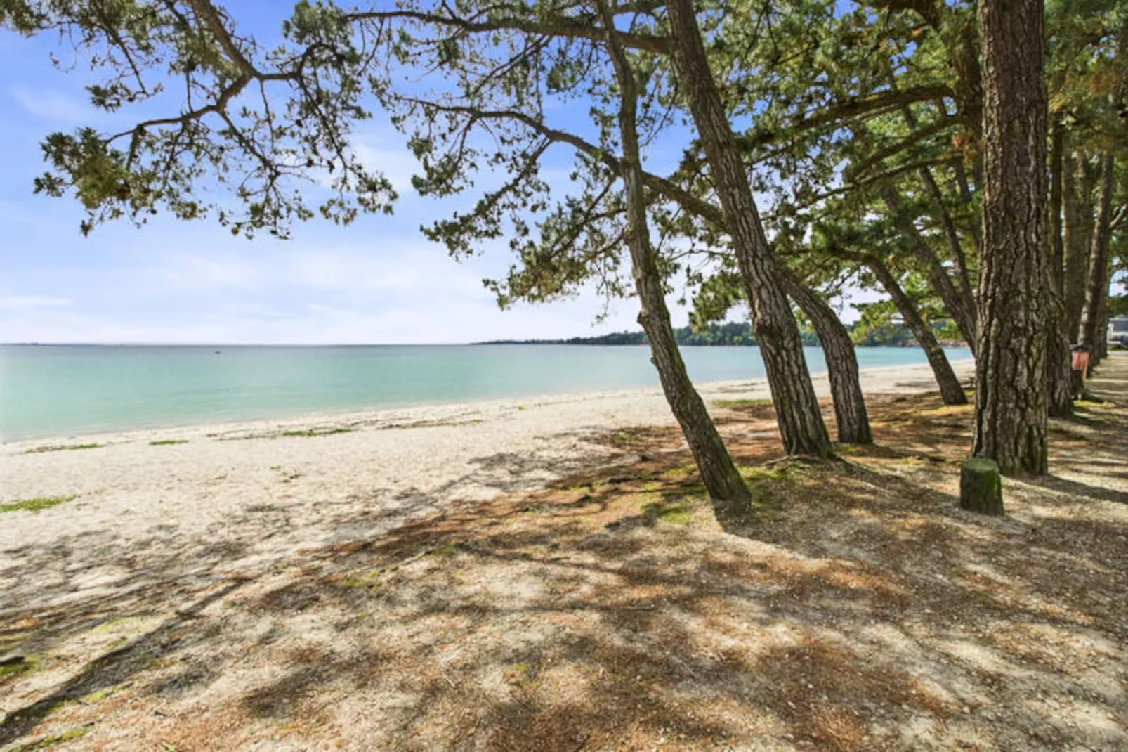 Appartements à Fouesnant-Untagged