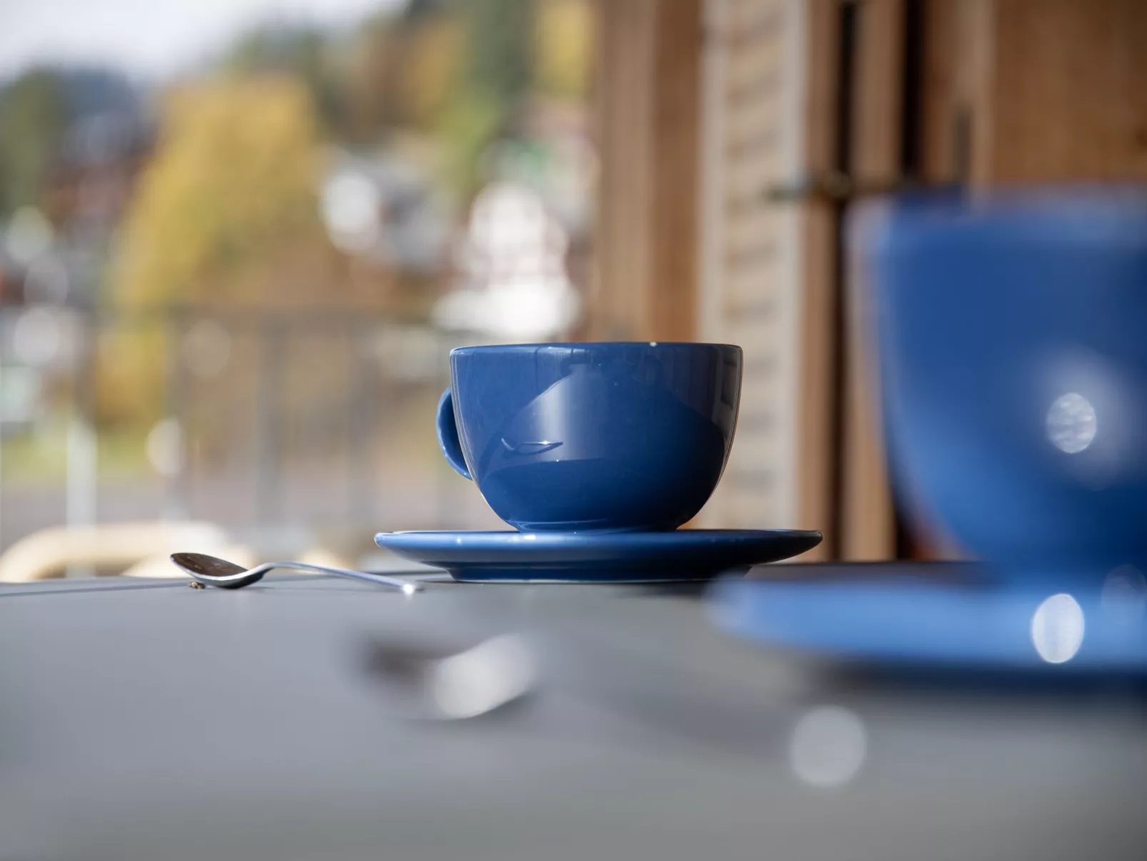 Schweizerheim Apt.5-Inside